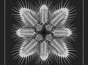 Blazej Malinowski – Brudnopis