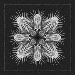 Blazej Malinowski – Brudnopis