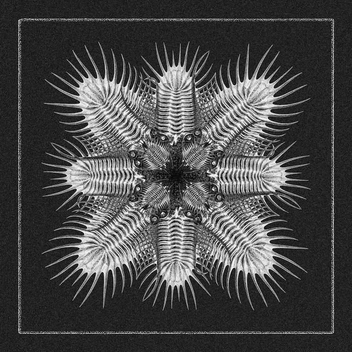 Blazej Malinowski – Brudnopis