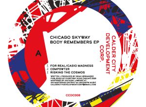 Chicago Skyway – Risking the Cosmos