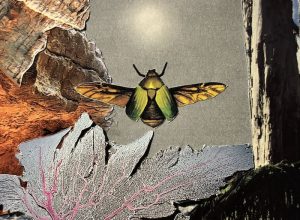 Prieste5s – Cicada State