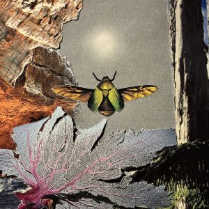 Prieste5s – Cicada State