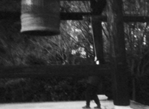 Mazout – La Steppe Ancestrale