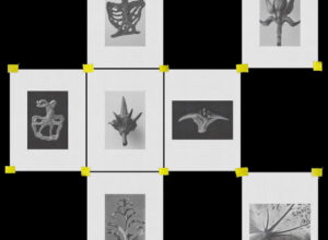 Nitz – Voice Box (od-vod live excerpt)