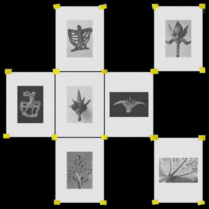 Nitz – Voice Box (od-vod live excerpt)