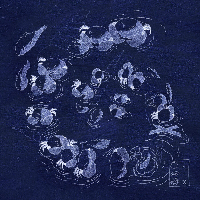 Saïph – Echo nuit