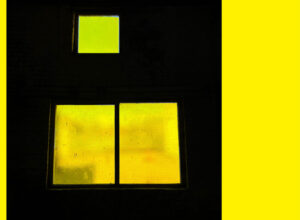 Ido Plumes – Guess What