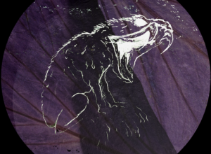 silkscreen. – Saturn2